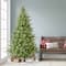 7.5ft. Pre-Lit Miracle Shape™ Alberta Spruce Artificial Christmas Tree, Dual-Color LED Lights